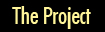 The Project